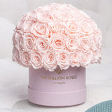 Classic Light Pink Suede Superdome Box by The Million Roses - product image 5 for Resin Society