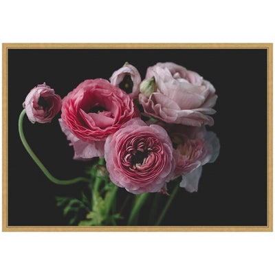 Sylvie Mood Dark Pink Ranunculus Flower Bouquet Framed Canvas by Kristy Campbell