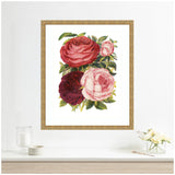 Framed botanical art print featuring four detailed Victorian-style roses in red, dark burgundy, pink, and light pink with green leaves on a white background hung on a white wall.
