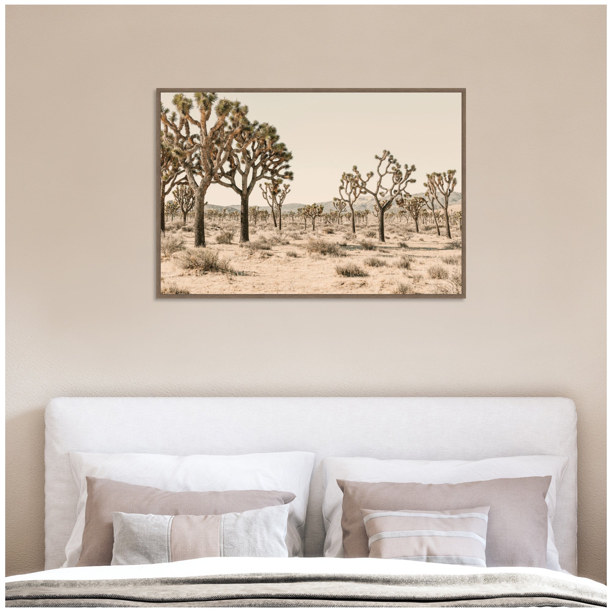 Joshua Tree No.
2 by Alicia Bock Framed Canvas Wall Art Print