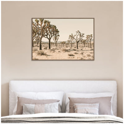 Joshua Tree No.
2 by Alicia Bock Framed Canvas Wall Art Print