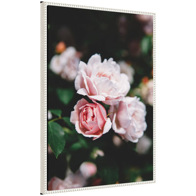 Sylvie Delicate Light Pink Rose Floral Framed Canvas by Patricia Hasz