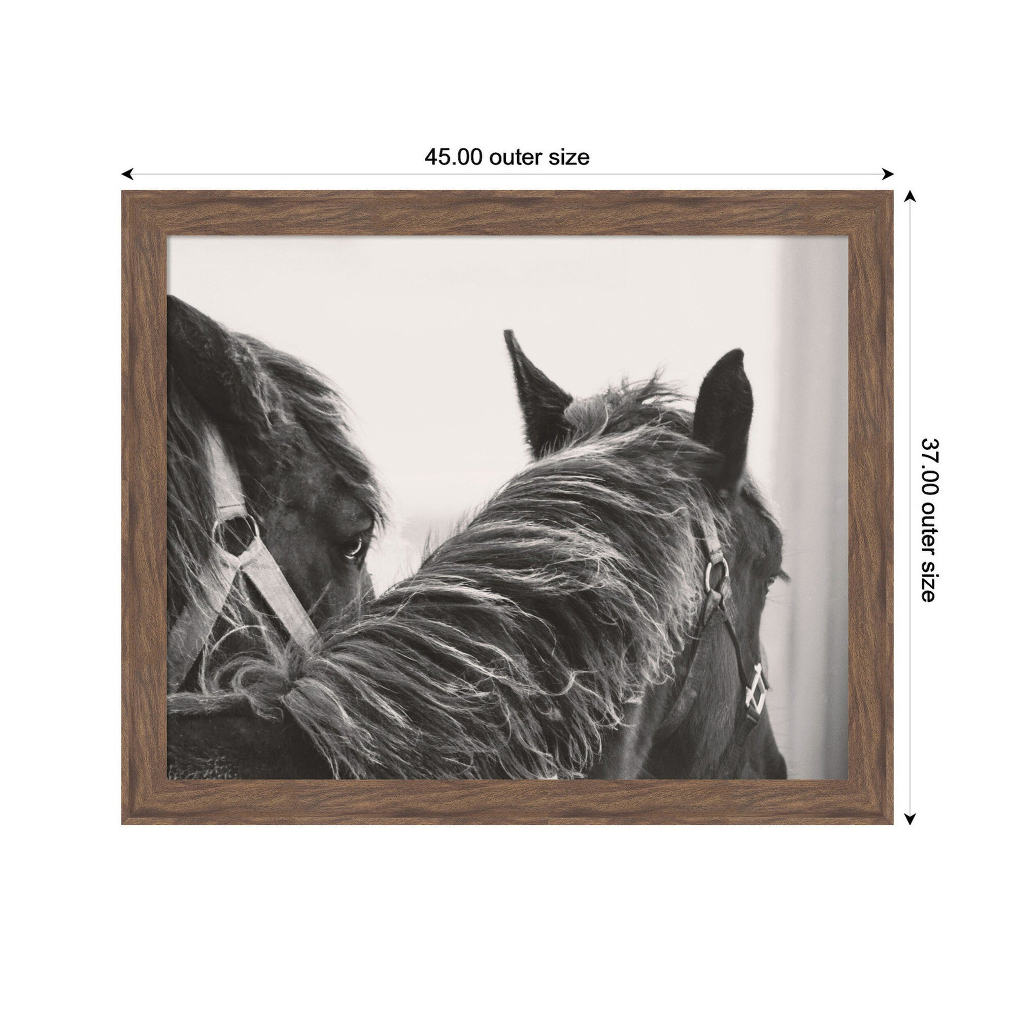 Black Horses by Emiko and Mark Franzen F2 Images Framed Wall Art Print
