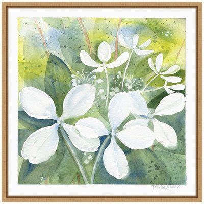 Sylvie White Phantom Hydrangea in Greens Framed Canvas by Patricia Shaw
