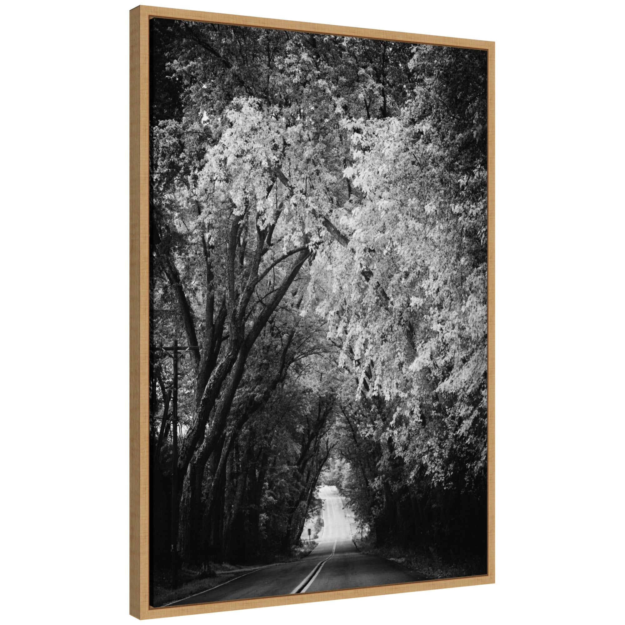 Sylvie Pleasant Valley Road Serene Path framed canvas art showing a quiet tree-lined path in nature