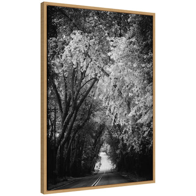 Sylvie Pleasant Valley Road Serene Path framed canvas art showing a quiet tree-lined path in nature