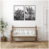 Two black-framed monochrome palm leaf prints hang side by side above a natural wood bench with white cushions in a minimalist room with wood flooring and a potted plant on the left.