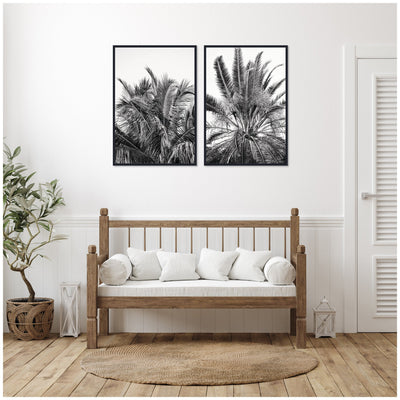 Palms No.
13 & No.15 2 Piece Framed Canvas Wall Art Set by Alicia Bock