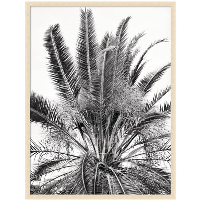 No 15 by Alicia Bock Framed Wall Art Print