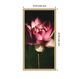 Close-up of a vibrant pink lotus flower blooming against a dark, shadowed background within a light wooden frame with dimensions labeled.
