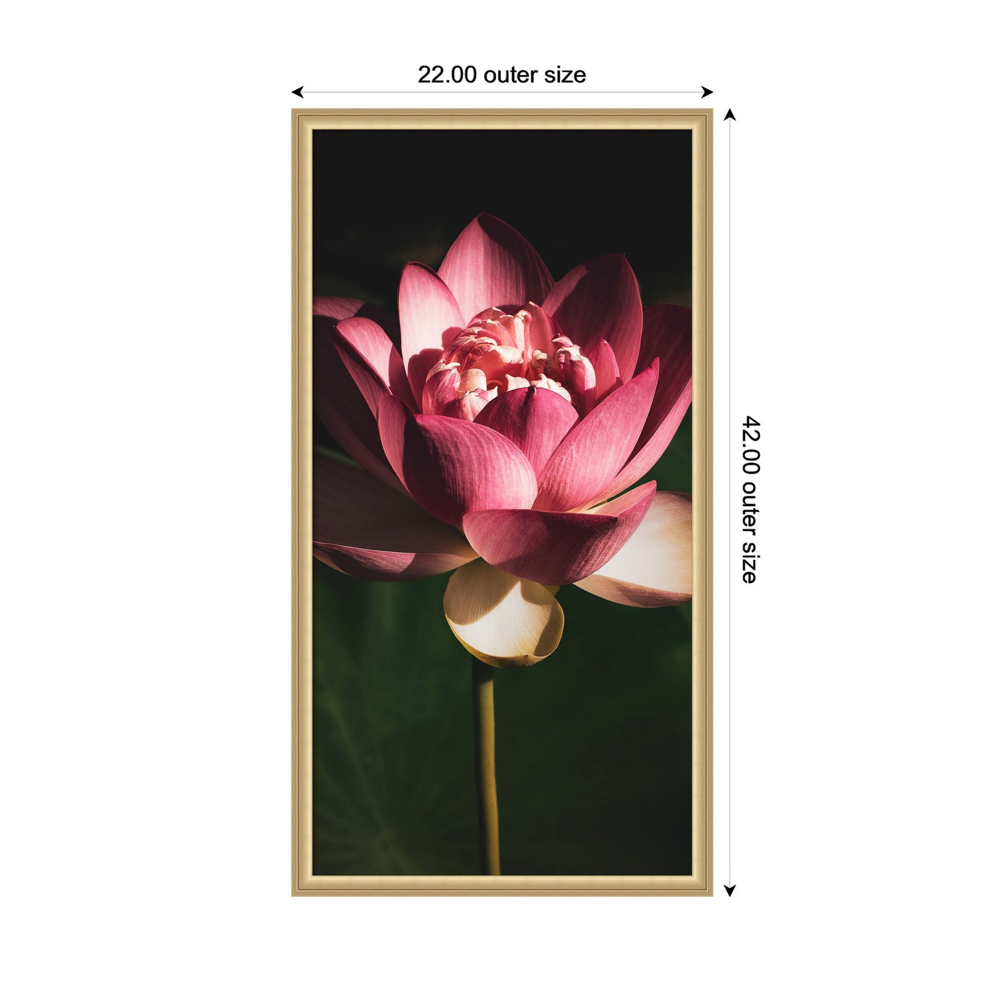 Midnight Lotus Flower by Stephanie Klatt Framed Wall Art Print