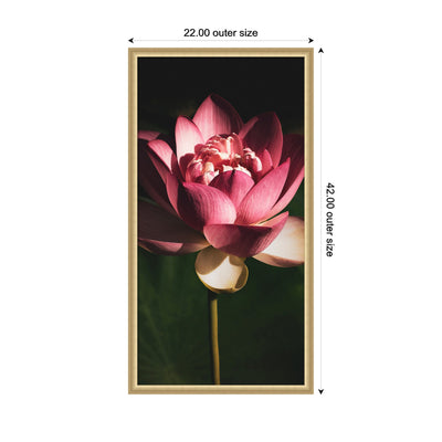 Midnight Lotus Flower by Stephanie Klatt Framed Wall Art Print