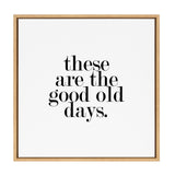 Sylvie Good Old Days Framed Canvas by kateandlaurel - product image 17 for Resin Society