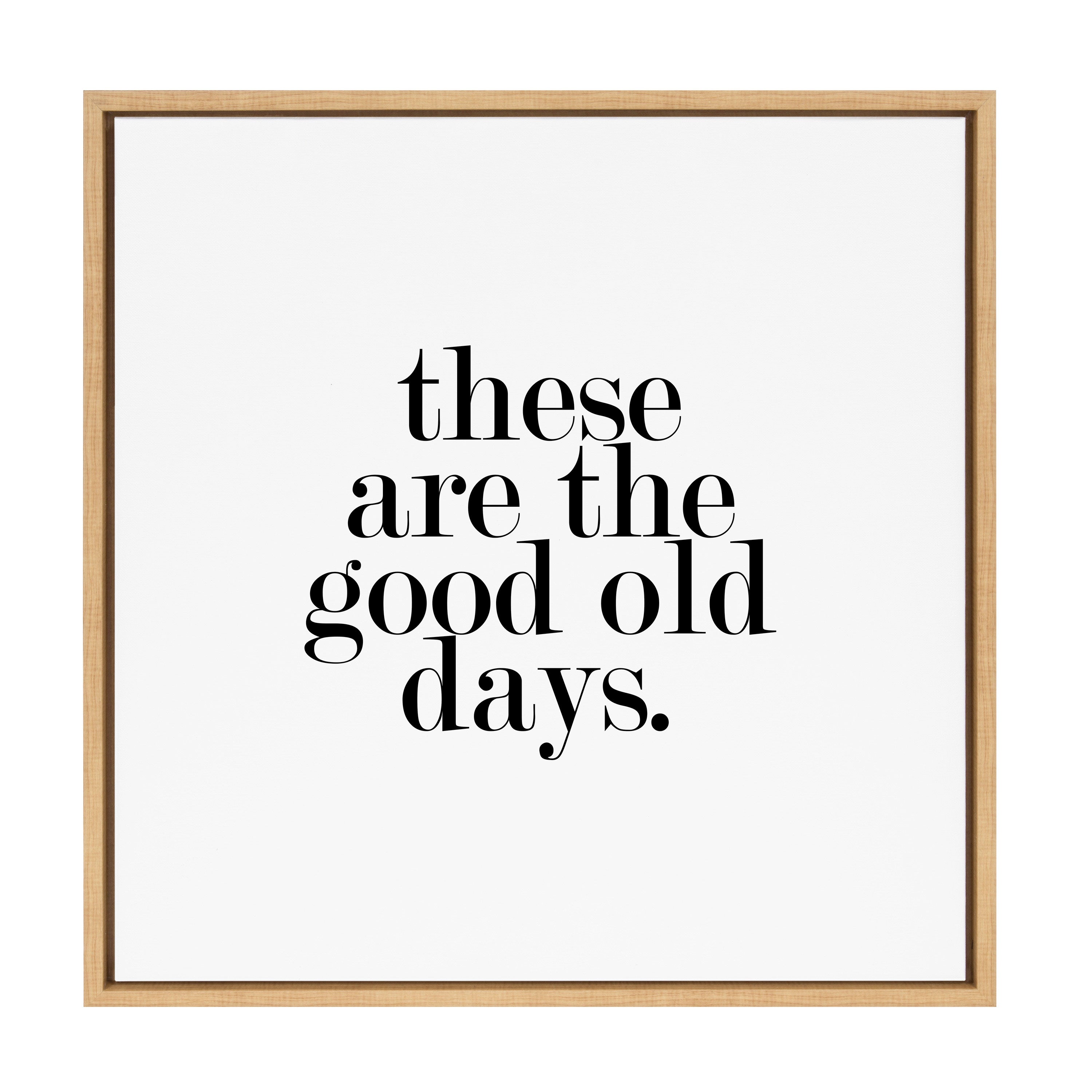 Sylvie Good Old Days Framed Canvas by kateandlaurel - product image 17 for Resin Society