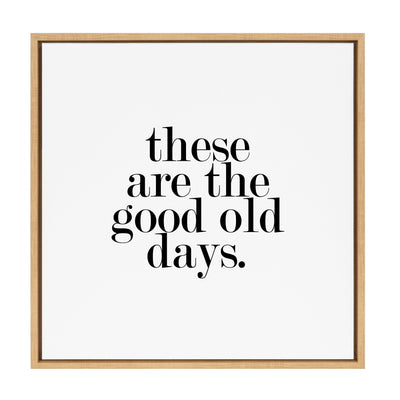 Sylvie Good Old Days Framed Canvas by kateandlaurel - product image 17 for Resin Society
