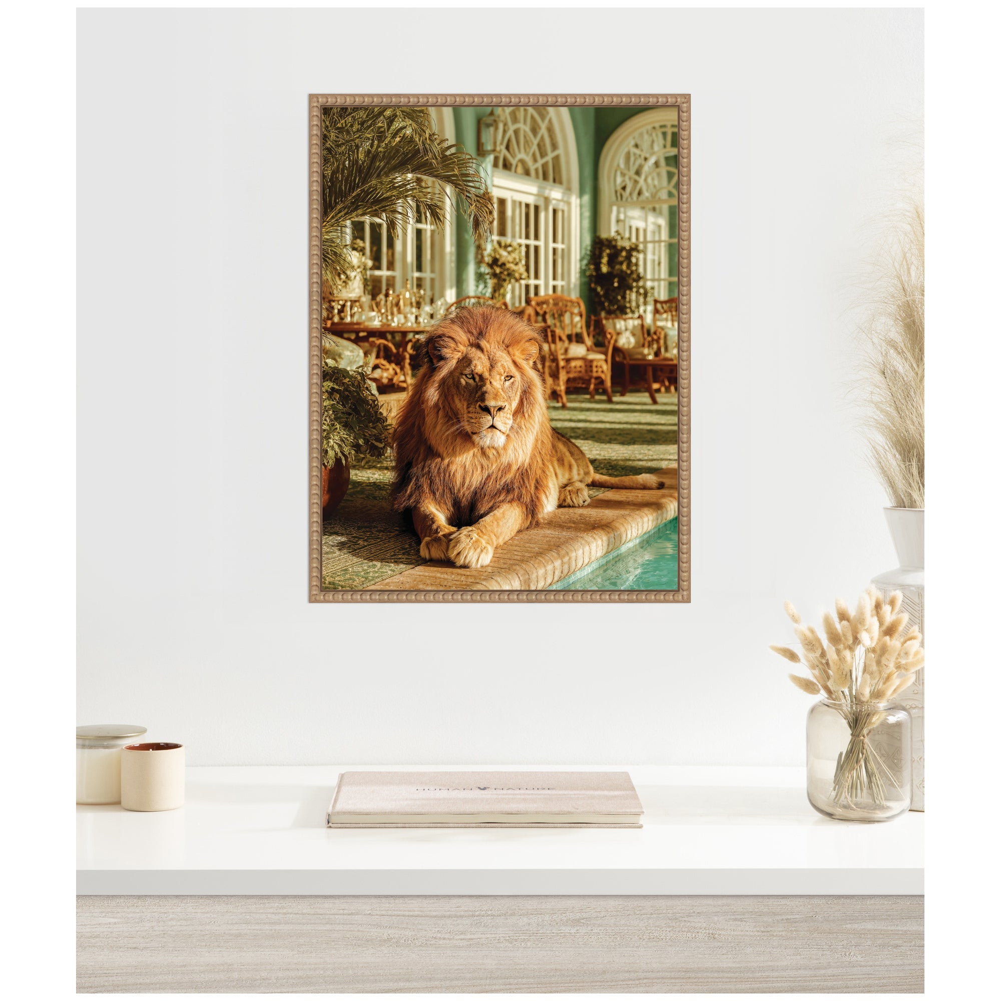 Majestic Lion by the Pool by Michael Schauer Framed Canvas Wall Art Print