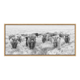 Sylvie Herd of Highland Cows Black and White Framed Canvas by The