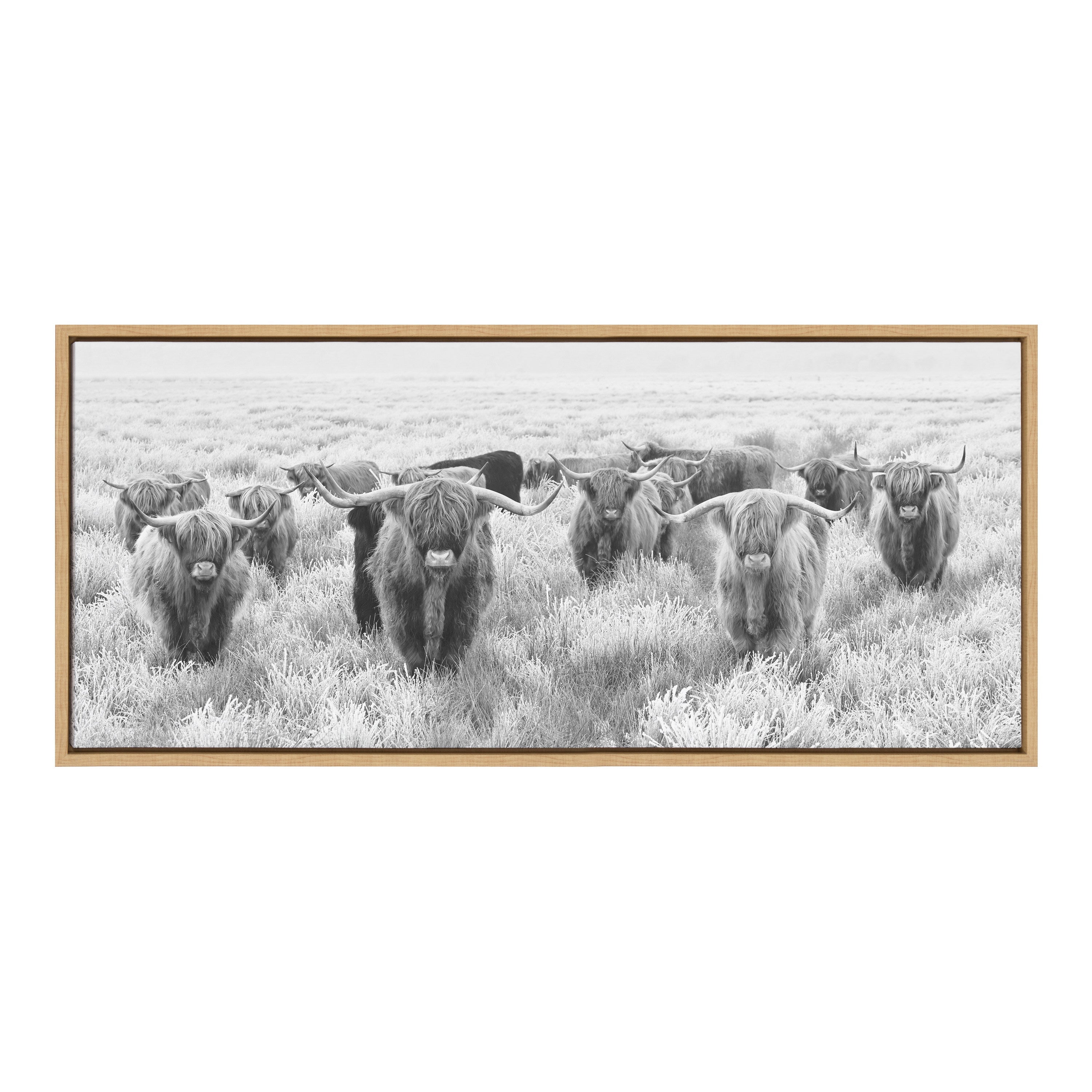 Sylvie Herd of Highland Cows Black and White Framed Canvas by The