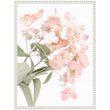 Close-up of pale pink hydrangea flowers and green leaves against a white background in a white decorative frame