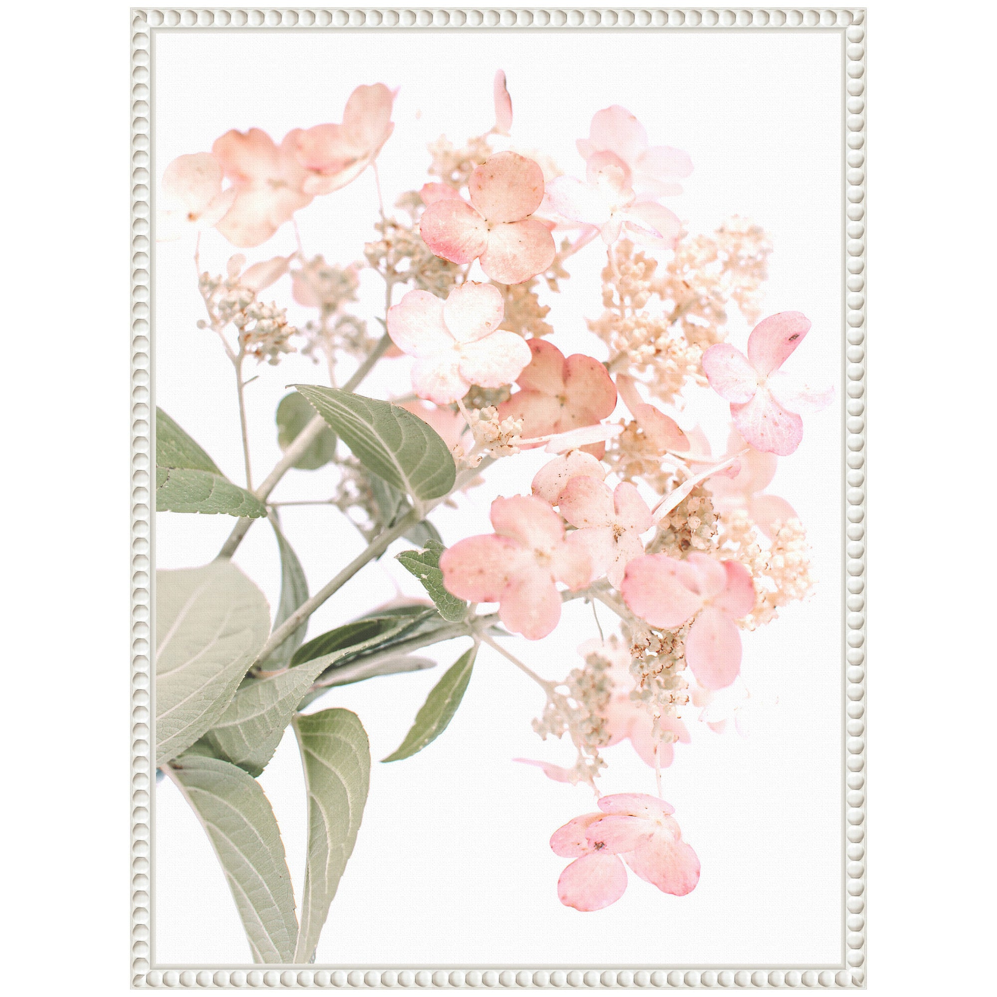 Sylvie Hydrangea Framed Canvas by Alicia Abla