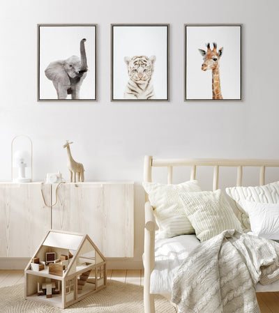 Sylvie Animal Studio Baby White Tiger Framed Canvas by Amy Peterson Art Studio