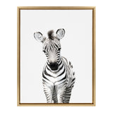 Sylvie Baby Zebra Framed Canvas by Amy Peterson