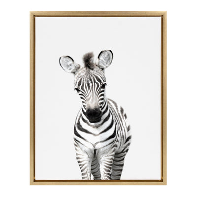 Sylvie Baby Zebra Framed Canvas by Amy Peterson