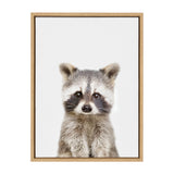 Portrait of a young raccoon with distinctive black eye masks on soft gray fur, centered against a plain white background in a light wooden frame.