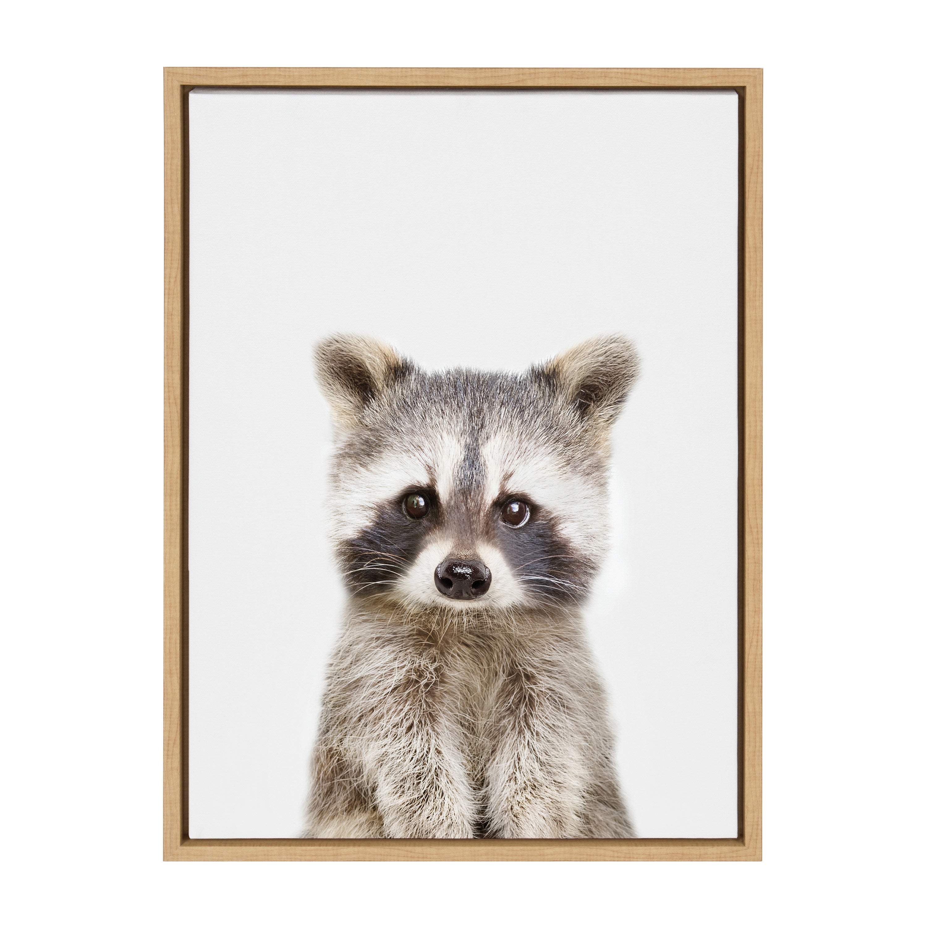 Sylvie Raccoon Framed Canvas by Amy Peterson Art Studio