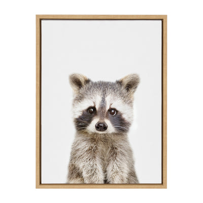 Sylvie Raccoon Framed Canvas by Amy Peterson Art Studio
