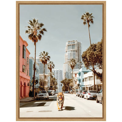 Sylvie California Tiger Roaming through Palm Springs Framed Canvas by Michael Schauer