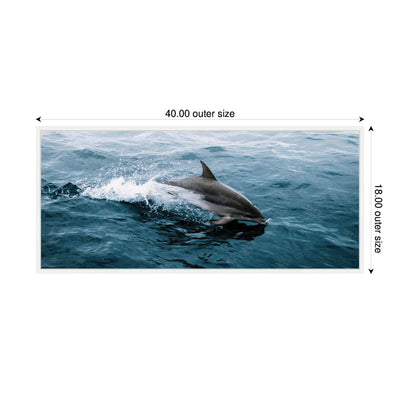 Sylvie Dolphin Skipping along in the Ocean Framed Canvas by Michael Schauer