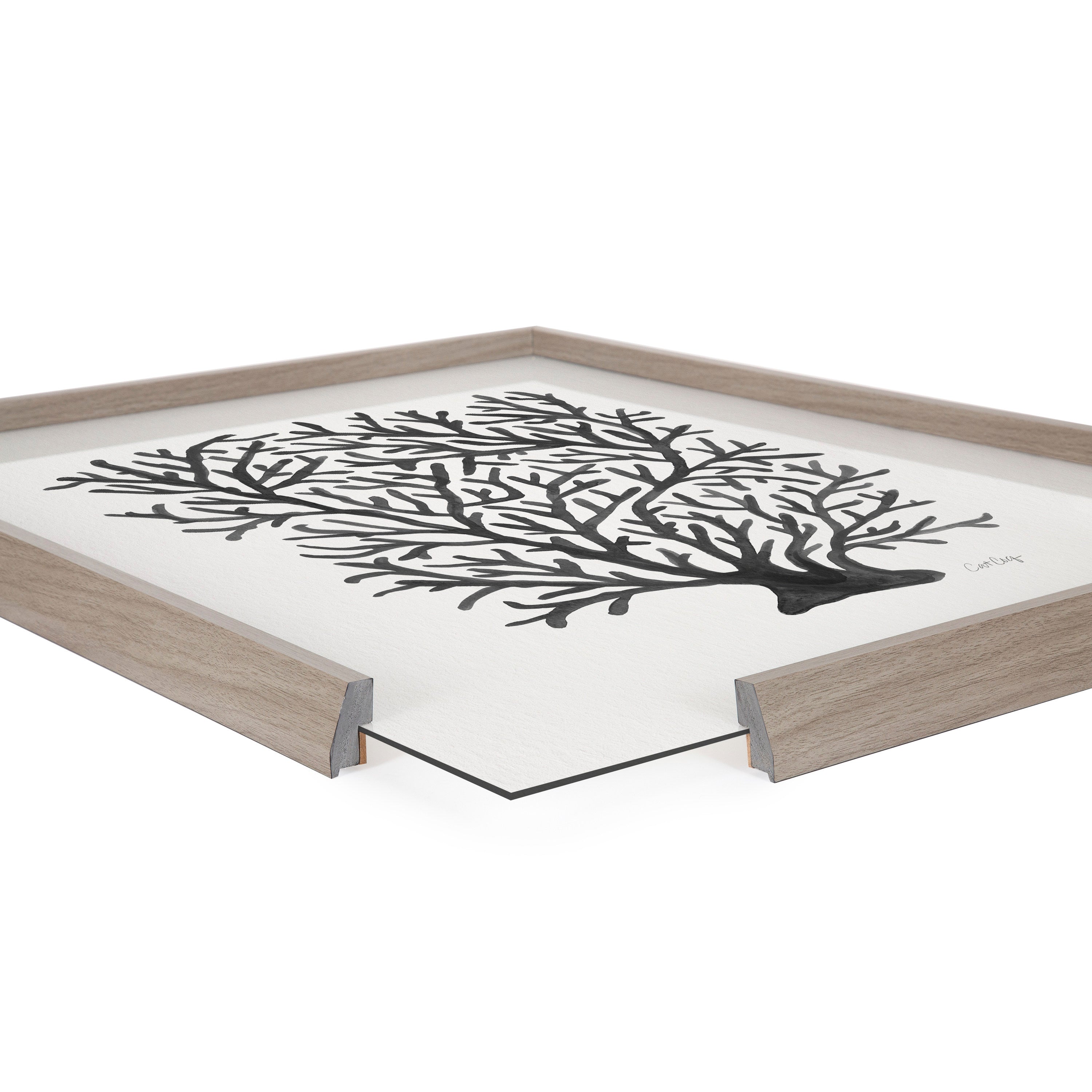 Blake Coral Black Framed Printed Glass by Cat Coquillette by kateandlaurel - product image 3 for Resin Society