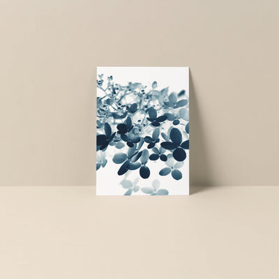 Cyan Hydrangea #1 blank notecard showing blue hydrangea flowers on smooth matte card stock