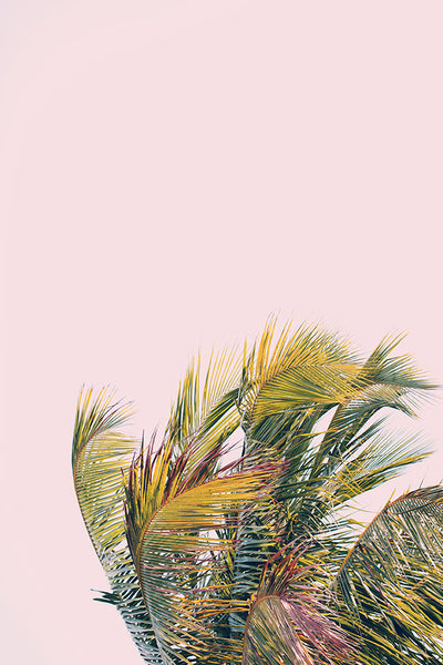 Modern Fine Art Photograph - Like A Hurricane by Alicia Bock Print Shop - product image 5 for Resin Society