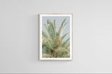 Modern Fine Art Photograph - Spring Mint #1 by Alicia Bock Print Shop - product image 4 for Resin Society