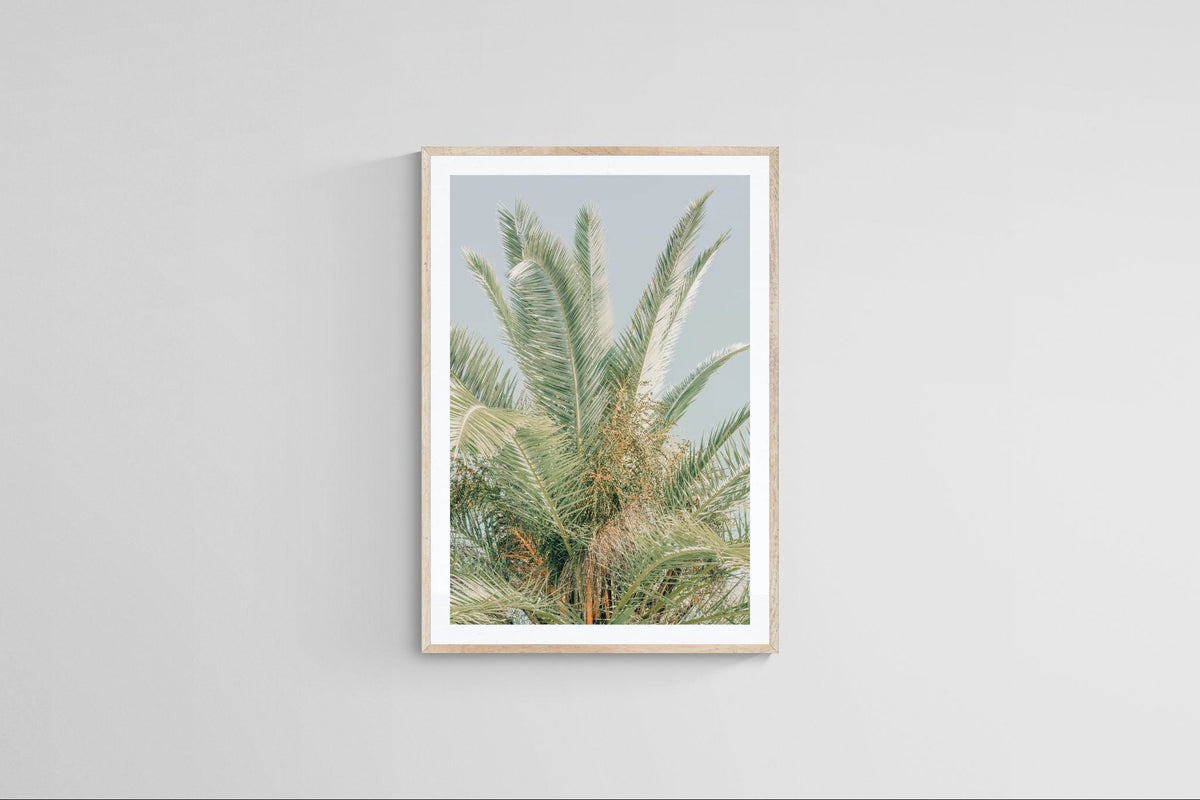 Modern Fine Art Photograph - Spring Mint #1 by Alicia Bock Print Shop - product image 4 for Resin Society