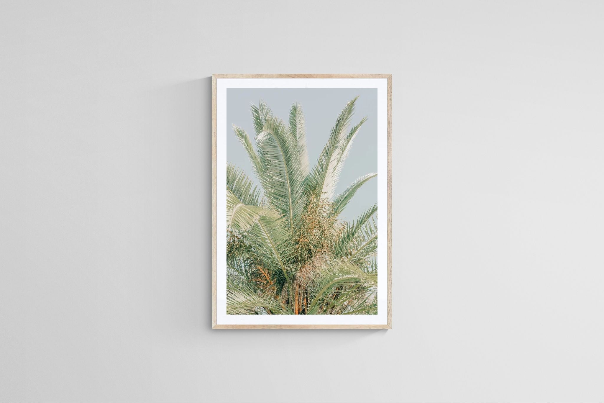 Modern Fine Art Photograph - Spring Mint #1 by Alicia Bock Print Shop - product image 4 for Resin Society