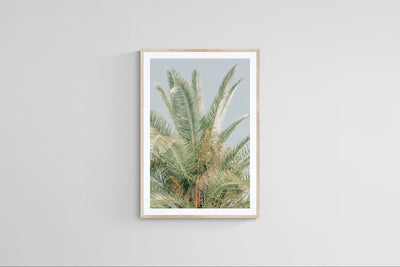 Modern Fine Art Photograph - Spring Mint #1 by Alicia Bock Print Shop - product image 4 for Resin Society