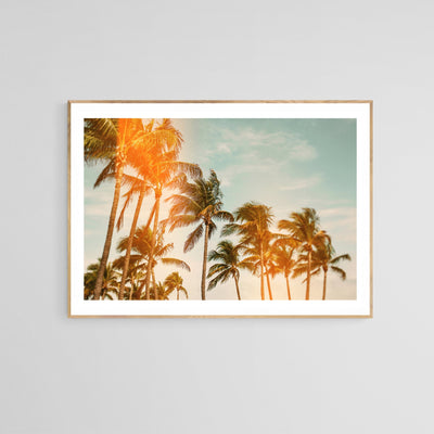 Miami Breeze (Flare) - Fine Art Photograph by Alicia Bock Print Shop - product image 2 for Resin Society