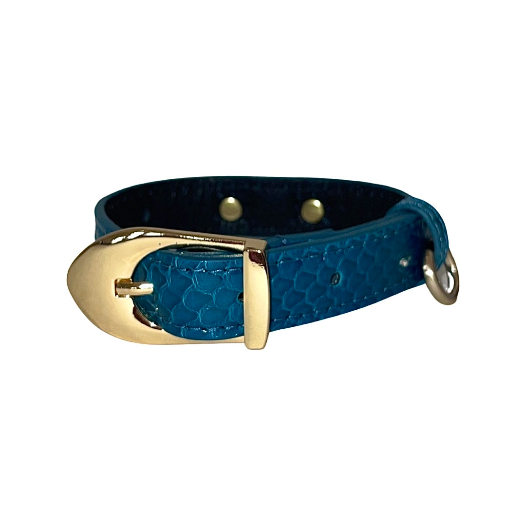 Dark turquoise dog collar with snake scale texture featuring a gold buckle and matching gold rivets, displayed on a white background.