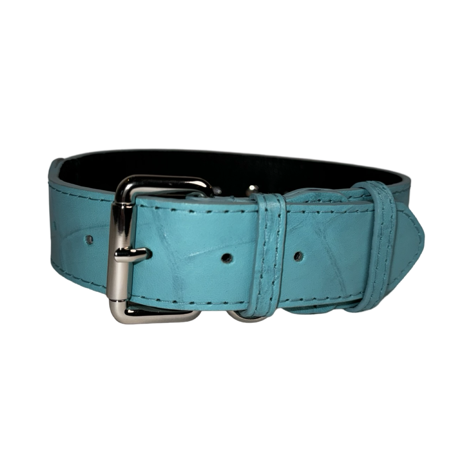Turquoise blue embossed croc Italian leather pet collar with silver hardware