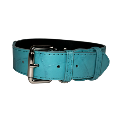 Turquoise blue embossed croc Italian leather pet collar with silver hardware