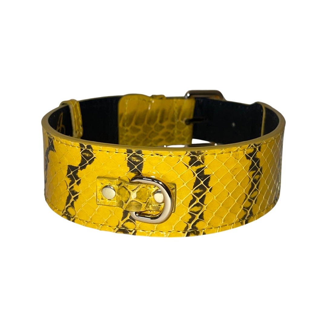 Wide mustard yellow collar with black snake print pattern and gold buckle detail, shown in a circular form on white background.