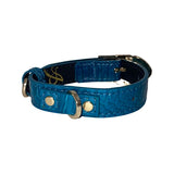 Dark turquoise snake-patterned collar with custom gold hardware, including a buckle, rivets, and D-ring, shown curved on a white background.