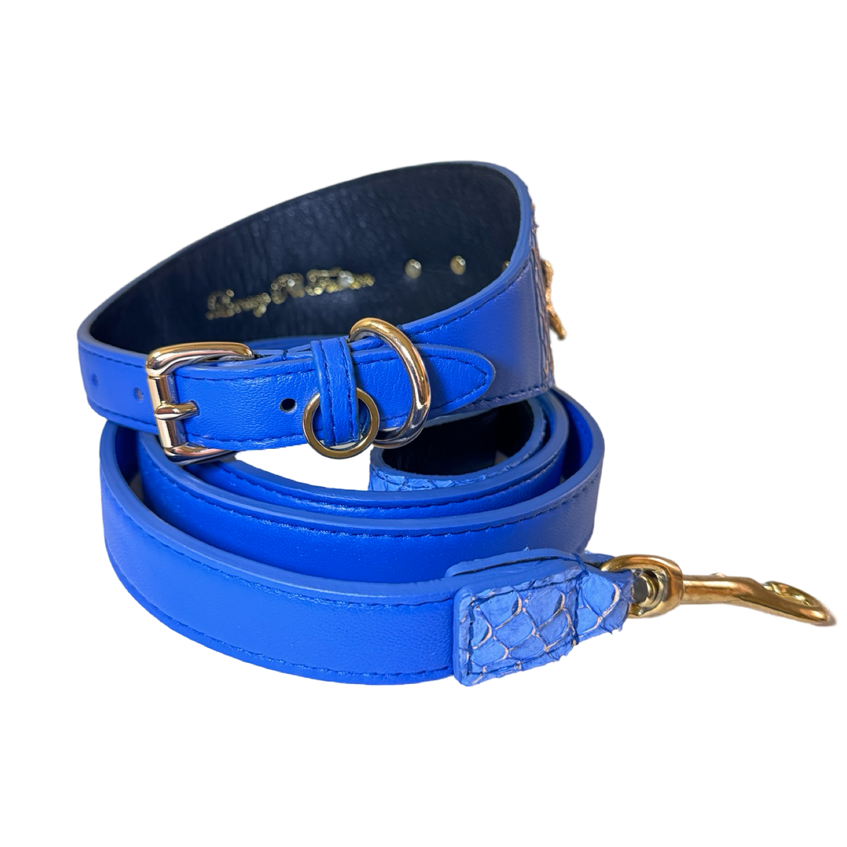 Bright cobalt blue leather dog collar and matching leash with gold-tone metal buckle and clasp, the collar featuring a textured leather accent.