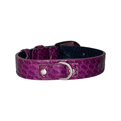 XS/S 7”-14” Purple Custom Snake Collar/Custom Silver Oval Italian