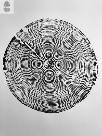 Alabama Tree Ring Print showing detailed concentric rings of a Long Leaf Pine tree on 18x24 inch paper
