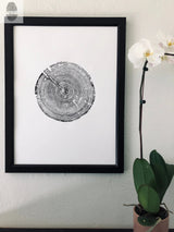 Black and white print of a detailed Alabama tree ring cross-section in a black frame, hanging on a white textured wall beside a white orchid plant.