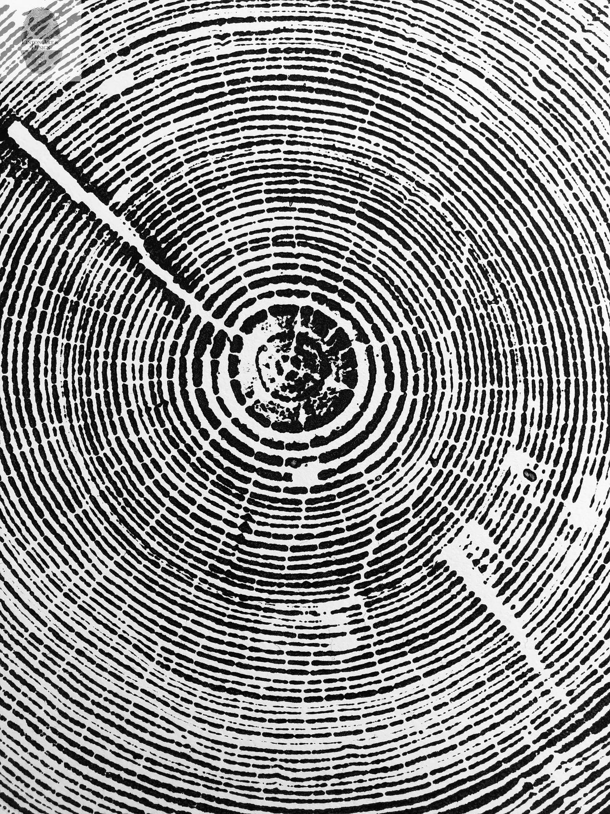 Black and white print of concentric tree rings with two prominent radial lines extending outward, resembling a detailed cross-section of a tree trunk.